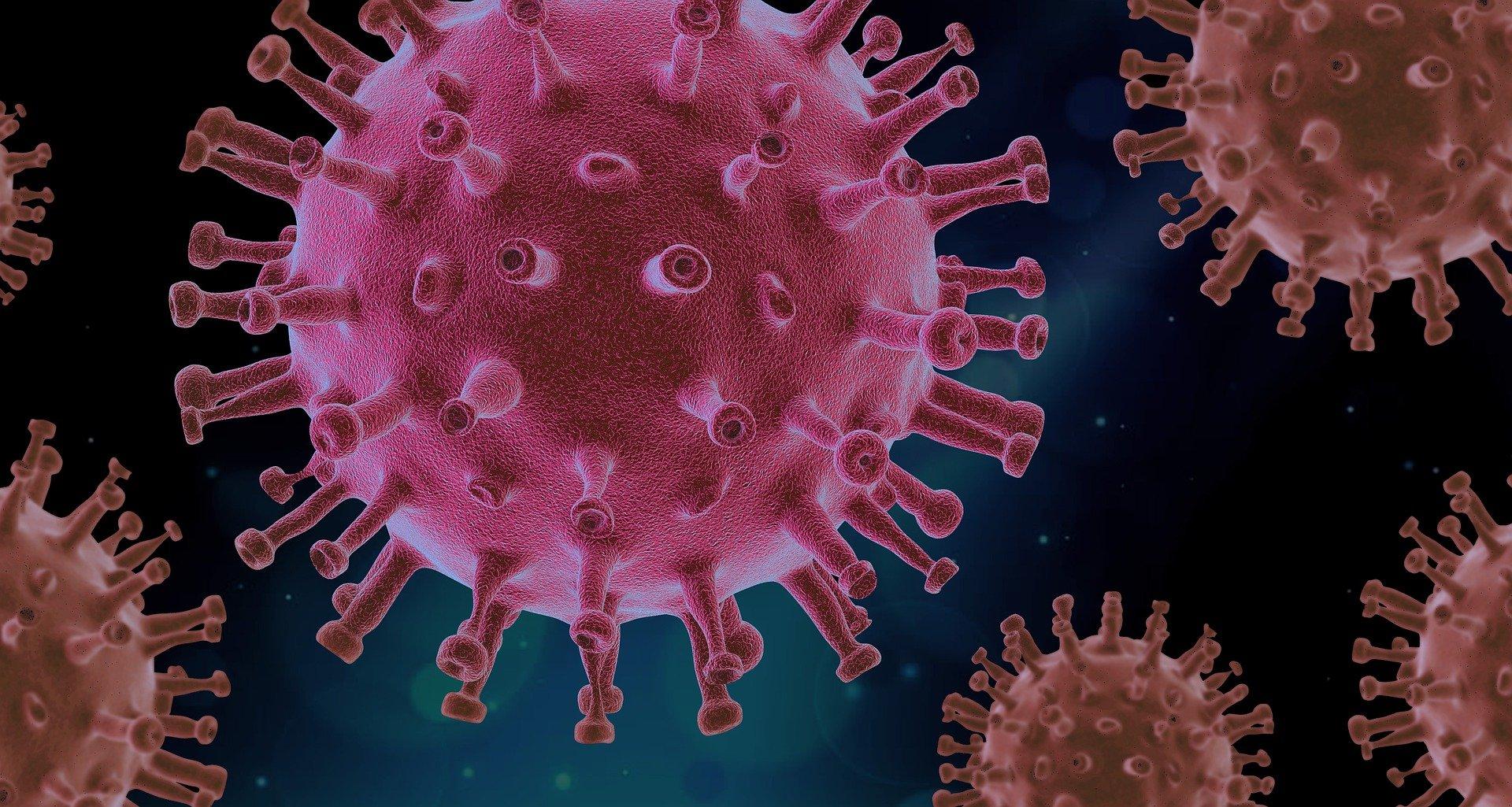 Image of close up of virus