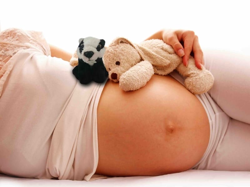 A picture of a pregnant woman with a teddy BadgerNet Badger.