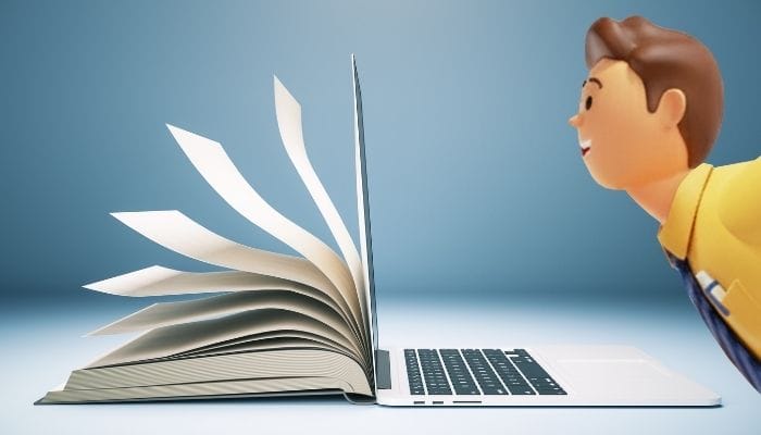 A picture of a male System C social care character looking at a factsheet on a laptop device.