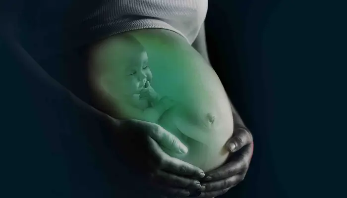 A picture of a pregnant woman with a baby inside her belly.