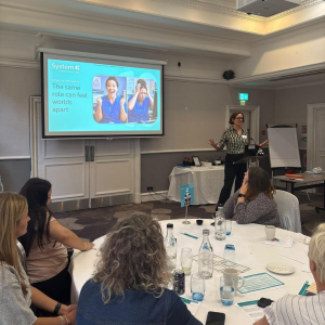A speaker presenting at the Digital Midwives Roundtable.
